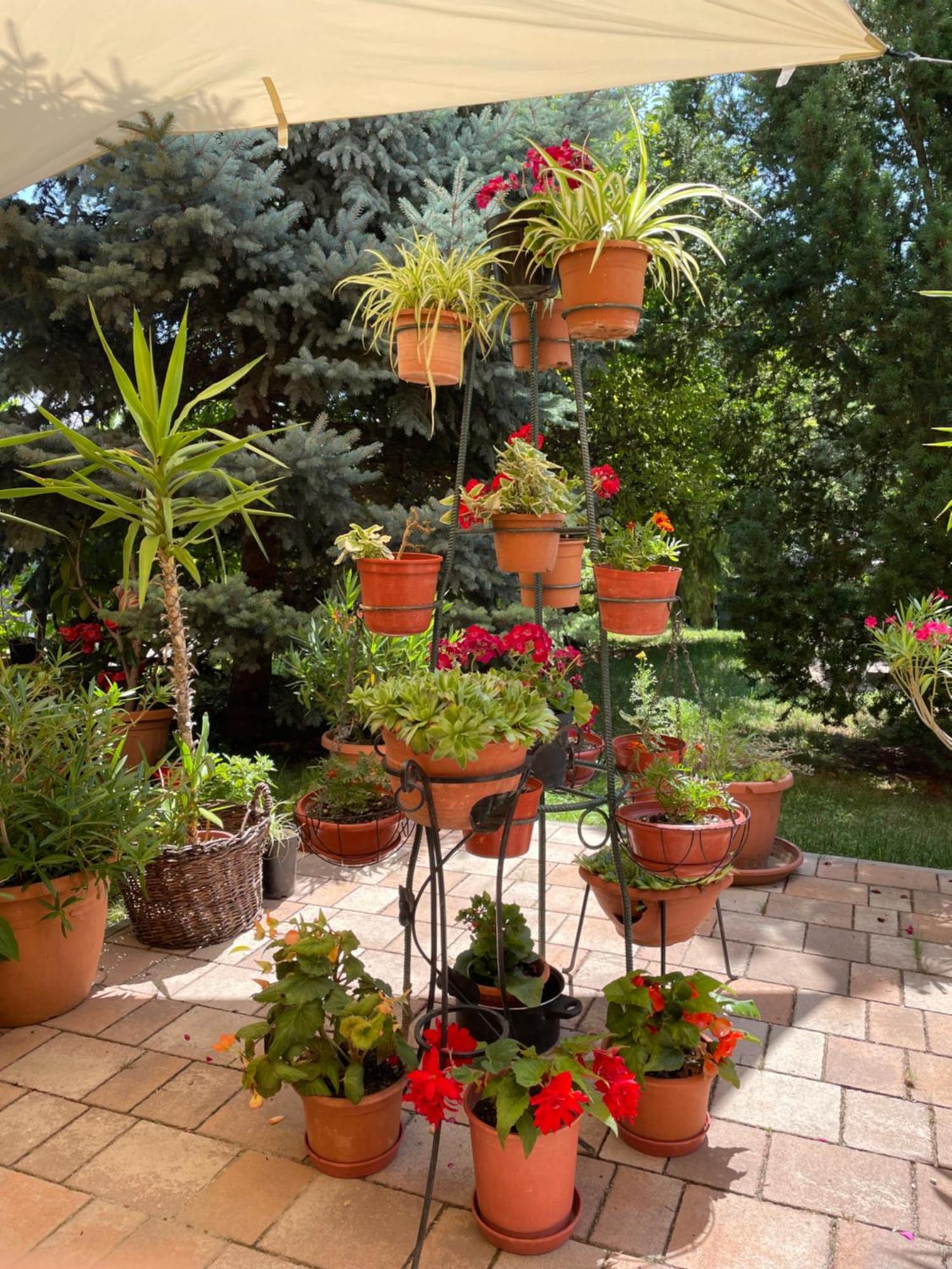 Jazmin-Szieszta Apartmanhaz Balatonfuered Extérieur photo